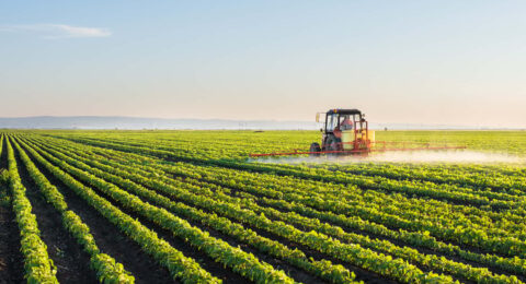 FoodTank_agriculturesubsidiesworldbankreport